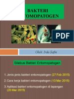 Materi 1 Jenis2 Bakteri Entomopatogen