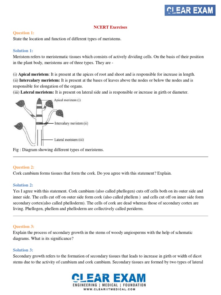 NCERT Class 11 Biology Chapter 6 PDF