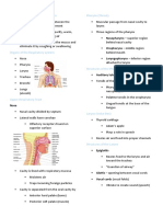 Respiratory System