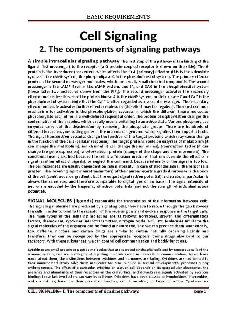 Understanding Cell Signaling Pathways | PDF | Cell Signaling | Signal ...