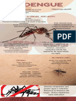 Infografia Sobre El DENGUE