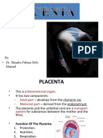 Bif Emb Ls 8 Placenta
