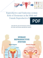 Reproductive and Endocrine System: Role of Hormones in The Male and Female Reproductive System
