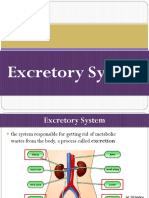 SCI - 11-14 - Excretory System - PDF