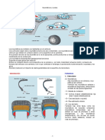 Neumaticos