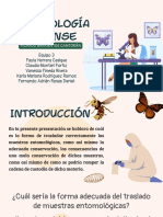 Entomología Forense