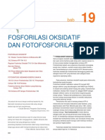 Fosforilasi Oksidatif Dan Fotoposporilasi