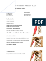 9 - Músculos Do Membro Superior Braço