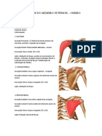8-Músculos Do Membro Superior Ombro