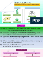 1 - Unicellular and Multicellular