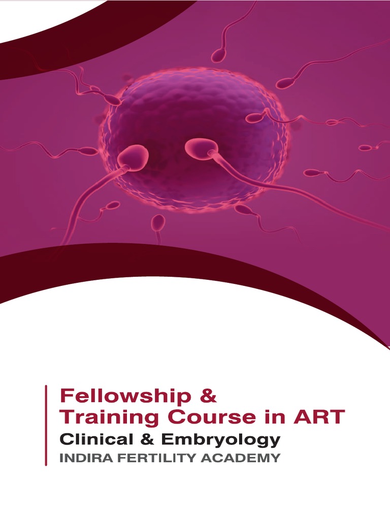 Ifa Brochure New Pdf