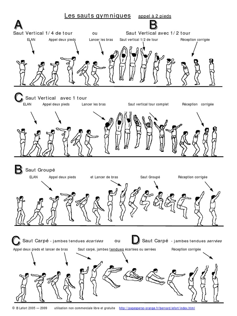 Les Elements Gymniques PDF