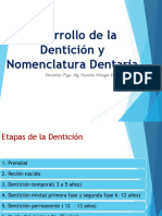 Evolución de La Dentición y Nomenclatura Dentaria 2023