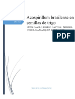 Azospirillum Brasilense en Semillas de Trigo