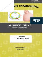Dossier Experiencia Clinica 2019