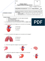 Evaluacion Ciencias 2B Unidad 1