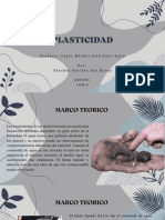 PLASTICIDAD