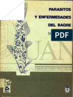 Parásitos y Enfermedades Del Bagre