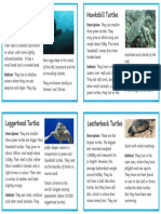 Sea Turtle Fact Cards