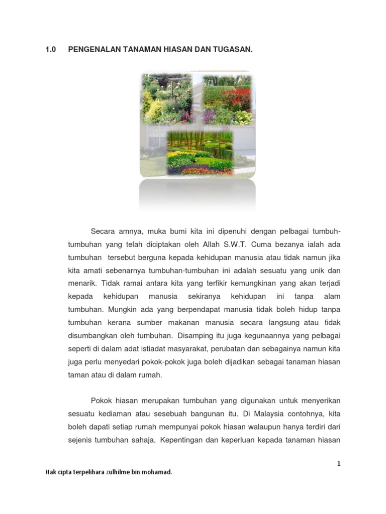 Jenis dan Kegunaan Pokok Renek Hiasan | PDF