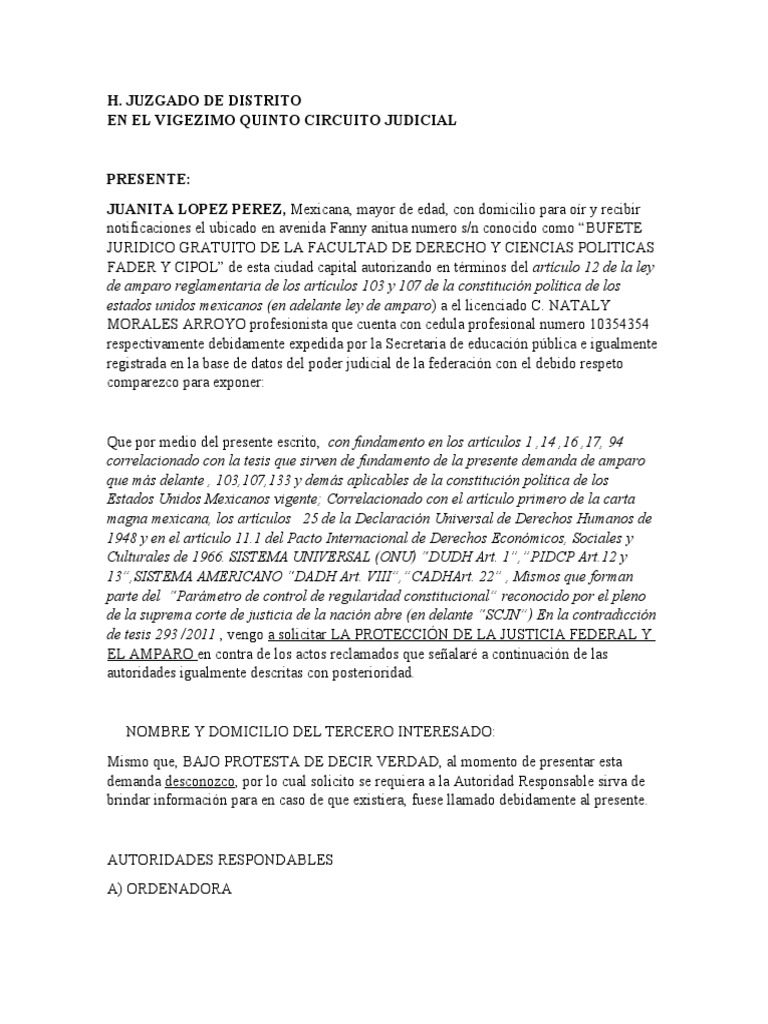Demanda de AMPARO | PDF | Justicia | Crimen y violencia