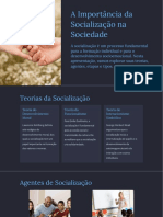 Socialização