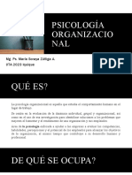 Psicologia Organizacional