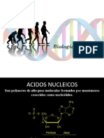 BQ - 8. Acidos Nucleicos