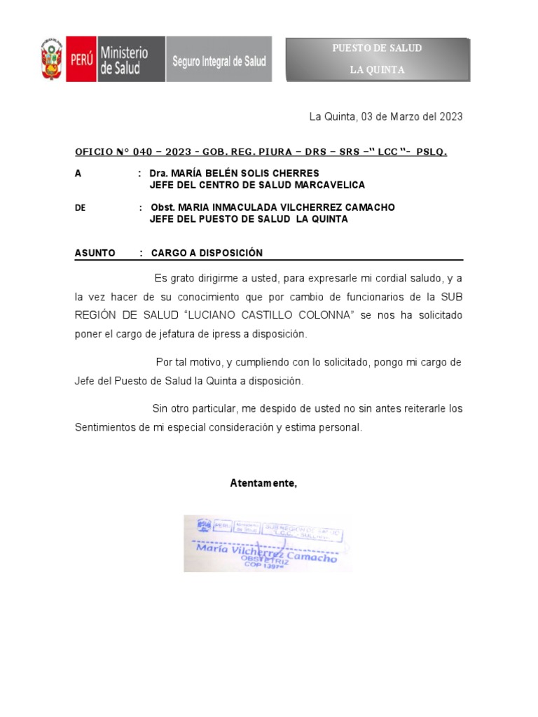 Cargo A Disposicion | PDF