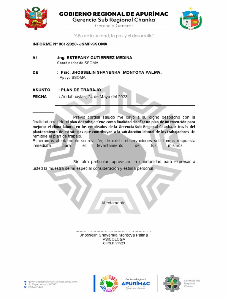 Plan de Trabajo Área Organizacional | PDF | Liderazgo | Sicología