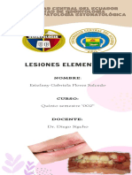 Nomenclatura de Lesiones