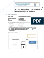 PLAN DE VIGILANCIA CONSECIONES MORGANA (Autoguardado) 1