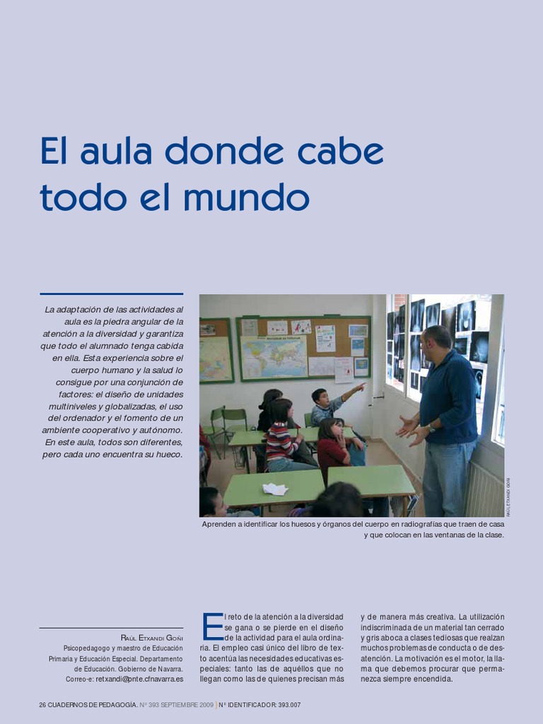 Aula Inclusiva: Atención a la Diversidad | PDF | Salón de clases | Maestros