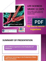 PP8 Use of Micro-Organisms