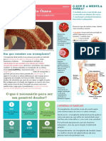 Medula Óssea PDF