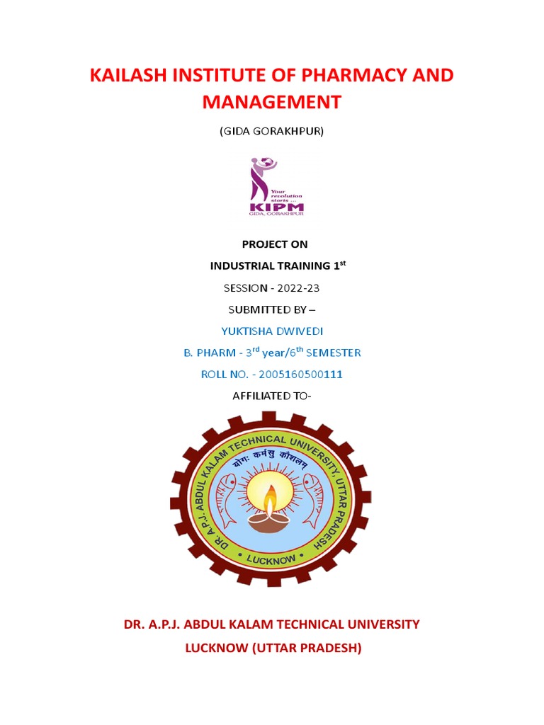 Industrial Training Record PDF Tablet (Pharmacy) Chemical Substances