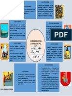 Infografia Planta