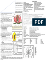 6 - REINO PLANTAE - Angiospermas (2pag)