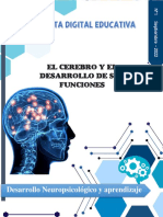 El Cerebro y El Desarrollo de Sus Funciones en La Edad Preescolar