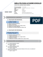 CV PDF