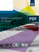 5.direitos Humanos No Brasil - Ebook