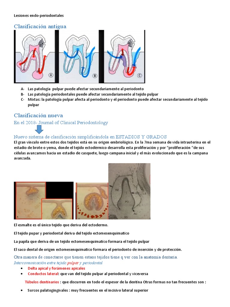 Lesiones Endo1 | PDF | Ramas de Odontología | Especialidades Medicas