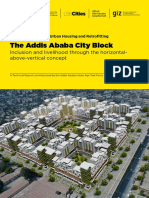 1.1 The Addis Ababa City Block