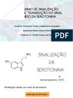 Sinalização Da Serotonina