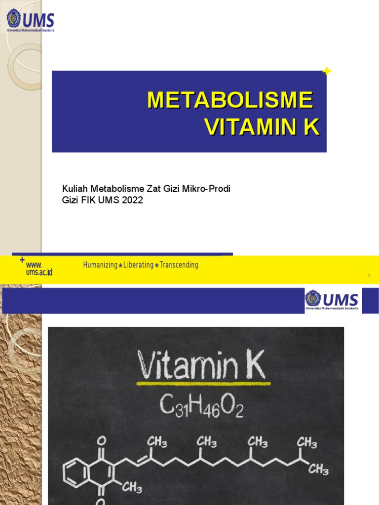 P7 Dwi Metabolisme Vitamin K PDF