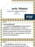 4 - Maturity Mindset