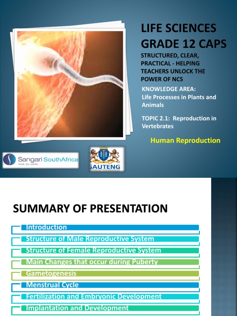 Grade 12 Life Science Human Reproduction Notes | PDF | Menstrual Cycle ...