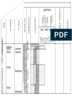 Seccion Estratigrafica 1