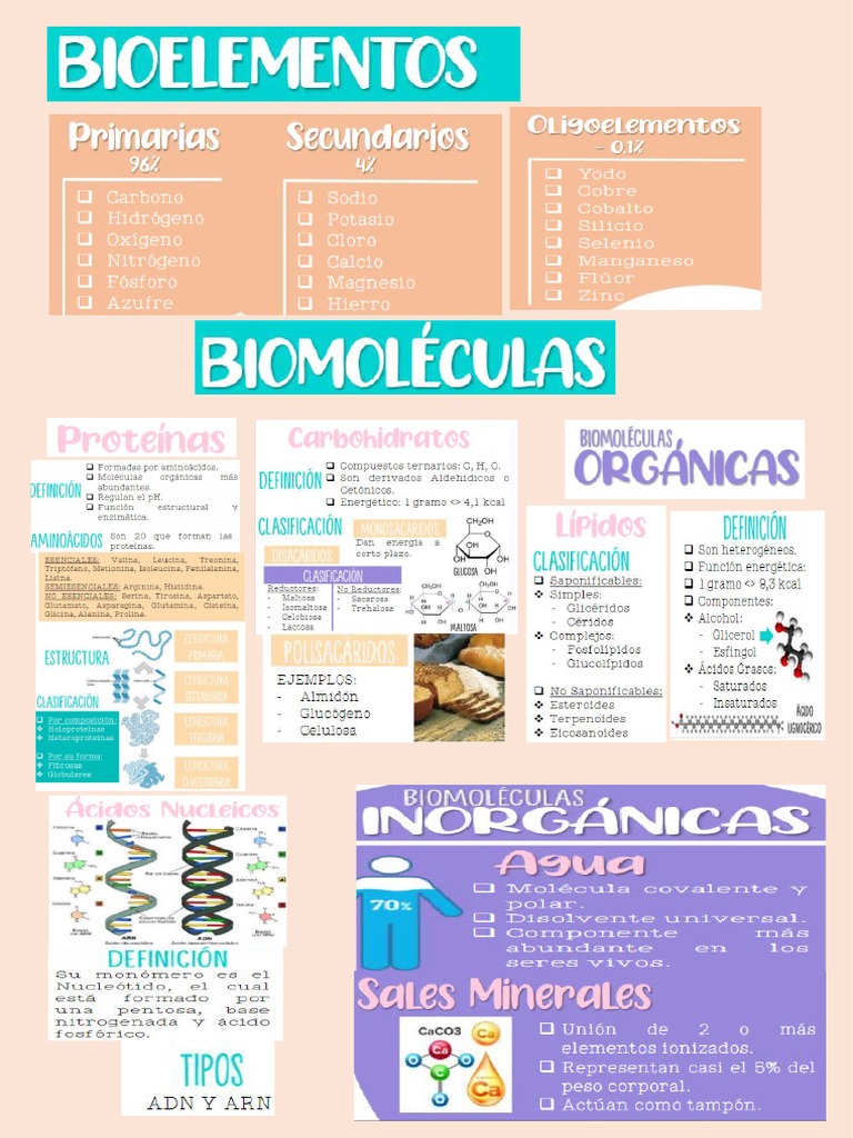 Bioelementos y Biomoléculas de Un Ser Vivo | PDF