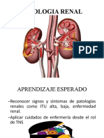 Patologia Renal